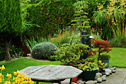 Bold planting and good maintenance make the best of this hillside garden.