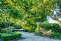 This front garden has developed to give privacy and a peaceful atmosphere.