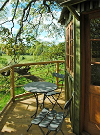 Treehouse deck basking in evening sunlight