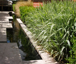 Dublin water garden design by garden designer Peter O’Brien